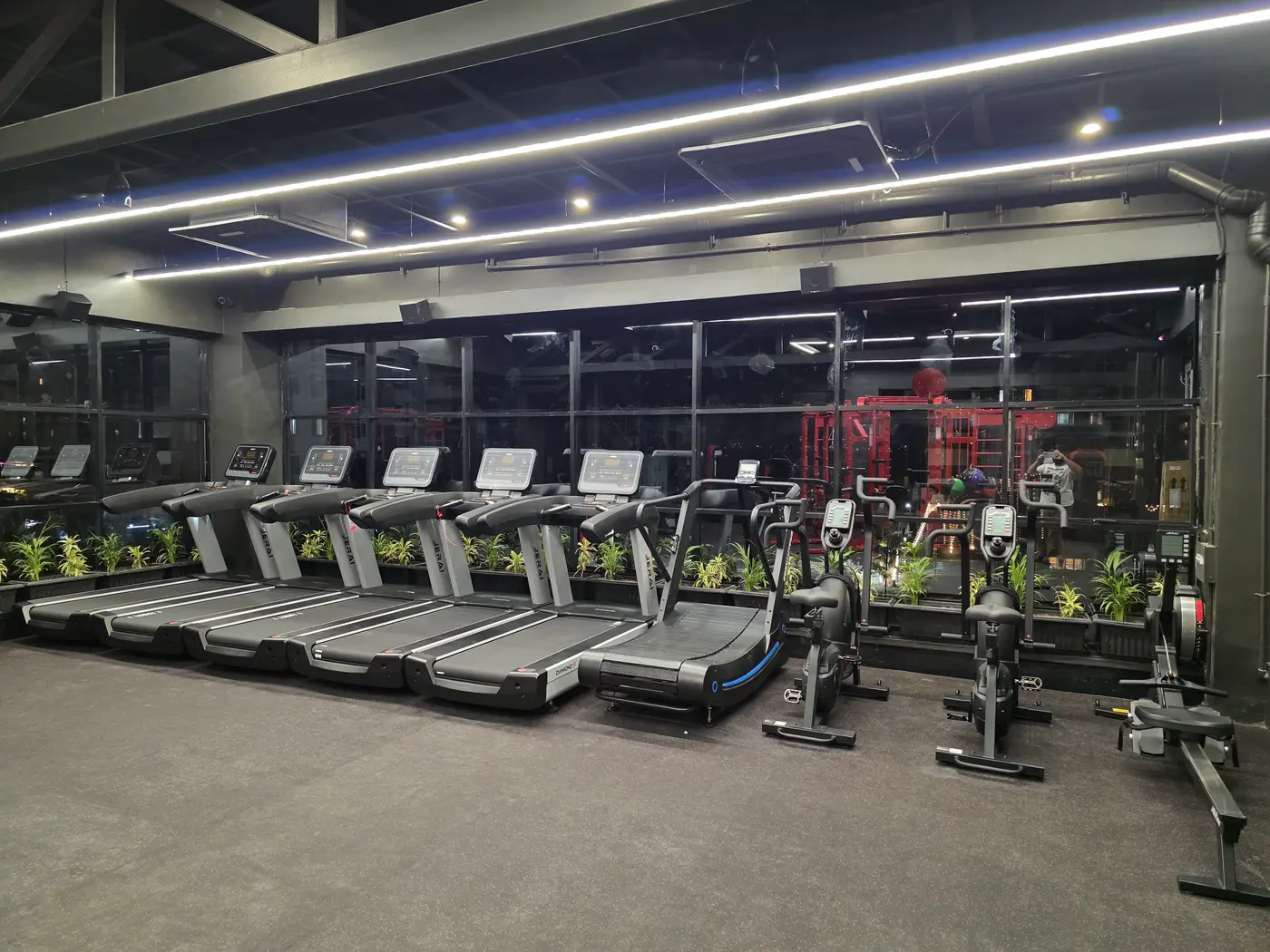 The Floor 2 cardio line — treadmills, bikes and rowers along the window under house lighting
